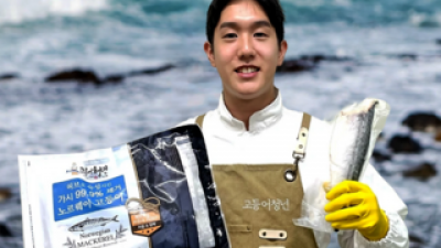 고등어청년 추천 및 가격 비교 장단점 정리