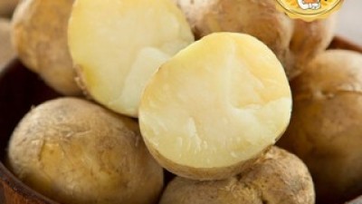 햇감자2kg 추천 고객 구매율 1위 제품들