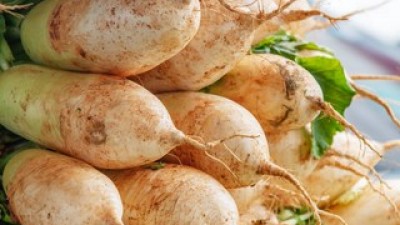 황토무우 쇼핑 꿀팁 가이드