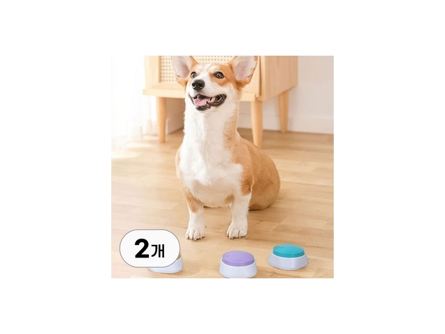 반려견벨 추천 쇼핑 정보 정리