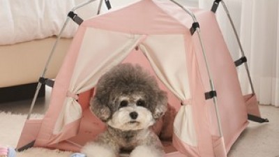 따수미애견텐트 쇼핑 정보 공유