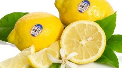 거북농산레몬140과 종류 및 추천-리뷰 스펙 가격 비교