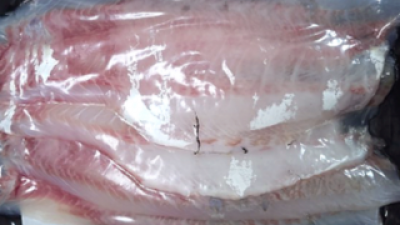 밀치회 | 판매 기록 신화를 세운 베스트셀러 제품