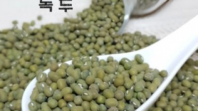 녹두1되무게 추천 장점 단점 분석 & 가격 정리