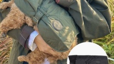 바버강아지옷 추천 TOP 인기템 비교 분석