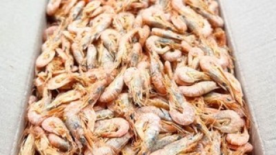 국내산건새우1.5kg 추천 TOP 인기템 비교 분석