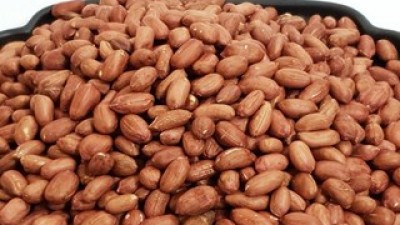 볶은땅콩국산 추천 TOP10 최저가로 만나볼 수 있는 혜택