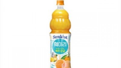 훼미리감귤 종류별 특징 및 추천 완벽 가이드