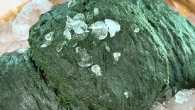 남해매생이 쇼핑 꿀팁 가이드