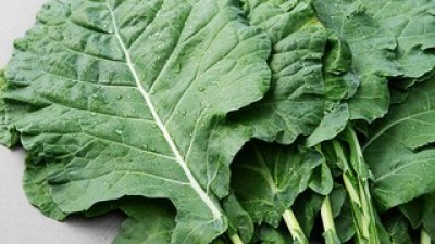 프레시지케일쌈밥 최고의 가치를 제공하는 상품