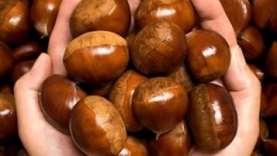 공주알밤생막걸리 추천: 소비자가 선택한 재구매율 1위 아이템