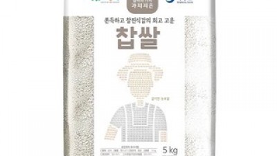 찹쌀한되가격 가성비 최고 아이템 TOP10 가격 비교 정리