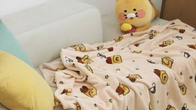 춘식이담요 내돈내산 후기정보