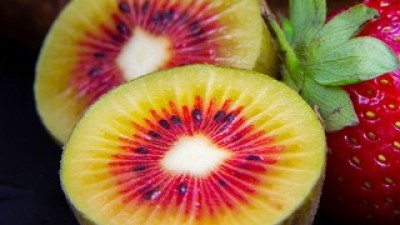 제주도레드키위2kg 가격정보 Best 상품순위 알아보기