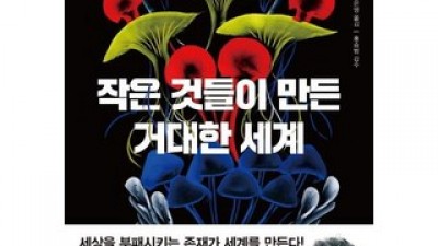 작은것들이만든거대한세계 TOP10 실용적이면서 세련된 제품 추천