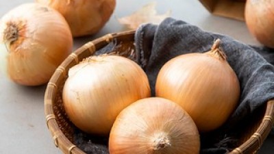 양파3키로 가이드 정보 공유