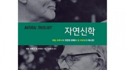 자연신학 가성비 최고 아이템 가격 비교 정리