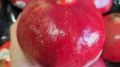 터키석류생과 추천 소비자가 선택한 재구매율 1위 아이템