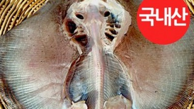 군산반건조간재미군산항직송 추천: 전문가 추천! 성능이 검증된 제품
