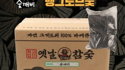 펜션숯 추천 제품 구매 가격 가이드