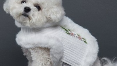 펫띵후리스한복 추천 이유 및 특징 정리