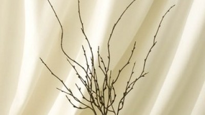 나뭇가지조화 추천: 평생 써도 후회 없는 고퀄리티 제품