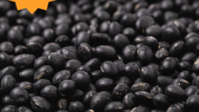 22년국산햇서리태속청귀족검정콩 내돈내산 솔직 사용후기