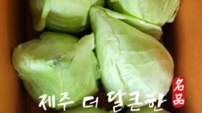 꼬깔양배추제철 | 판매 기록 신화를 세운 베스트셀러 제품