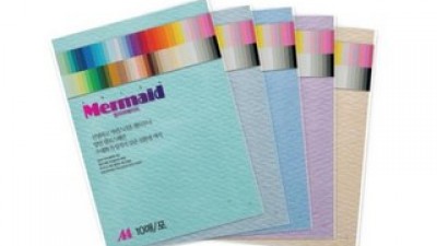 두성칼라머메이드지 추천 제품 구매 가격 가이드