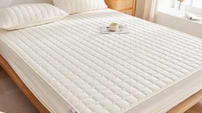 frokom 추천 가성비 좋은 제품