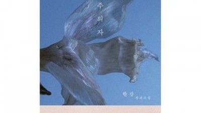 채식주의자 가성비 최고 아이템 가격 비교 정리