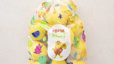 칠레산레몬1개 내돈내산 솔직 사용후기