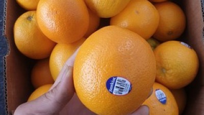 발렌시아오렌지17kg 추천 TOP10 최고의 가치를 제공하는 상품