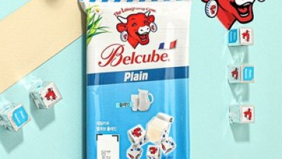 벨큐브플레인 구매 시 놓치면 안 되는 핵심 정보