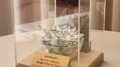 유골함케이스 추천 및 가격 비교 장단점 정리