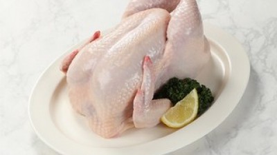 통닭12호 가격정보 Best 상품순위 알아보기