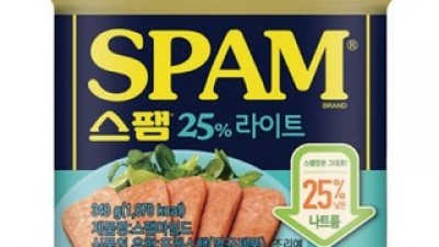 스팸라이트340 가성비 최고 아이템 TOP10 가격 비교 정리