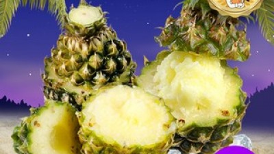 파인애플샤베트 추천 가성비 좋은 제품