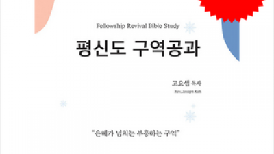 노시그널복복서가 가격정보 Best 상품순위 알아보기