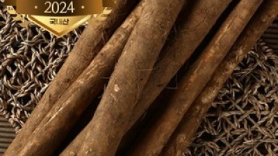 생우엉2kg국내산우엉햇우엉 추천 TOP10 쇼핑 정보 정리