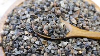 힘찬농부통메밀 추천 제품 구매 가격 가이드