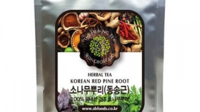 소나무뿌리 내돈내산 후기정보