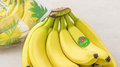 gs프레시델몬트바나나 올해 가장 핫한 인기템 완벽 정리