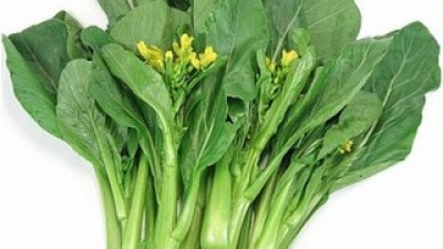 카이란 내돈내산 솔직 사용후기