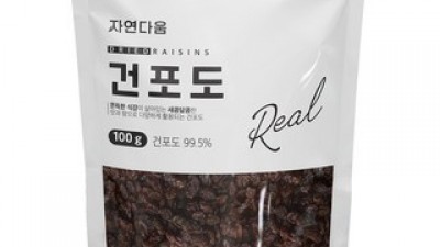 건포도100g 내돈내산 후기정보