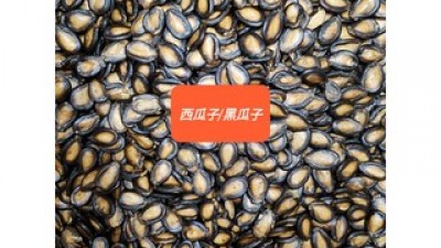 중국수박씨 추천 가성비 좋은 제품