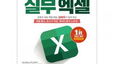 엑셀실무책 추천 제품 구매 가격 가이드
