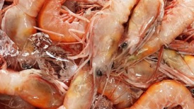 달마새우급랭 추천 내돈내산 구매 아이템