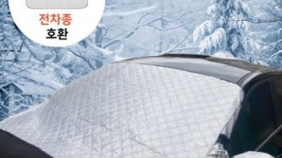 자동차눈덮개 추천 가성비 좋은 제품