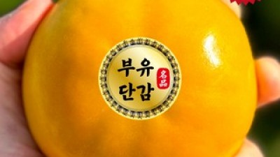 배단감 만족스러운 상품 소개